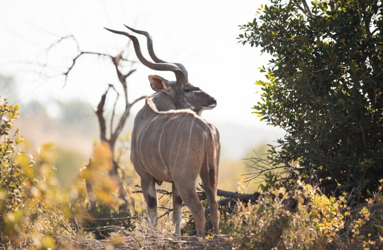 Screenshot 2026 03 04 101537