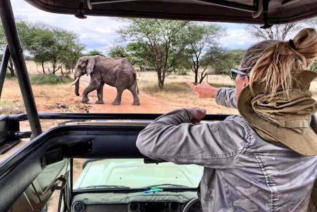 Screenshot 2026 03 04 112136