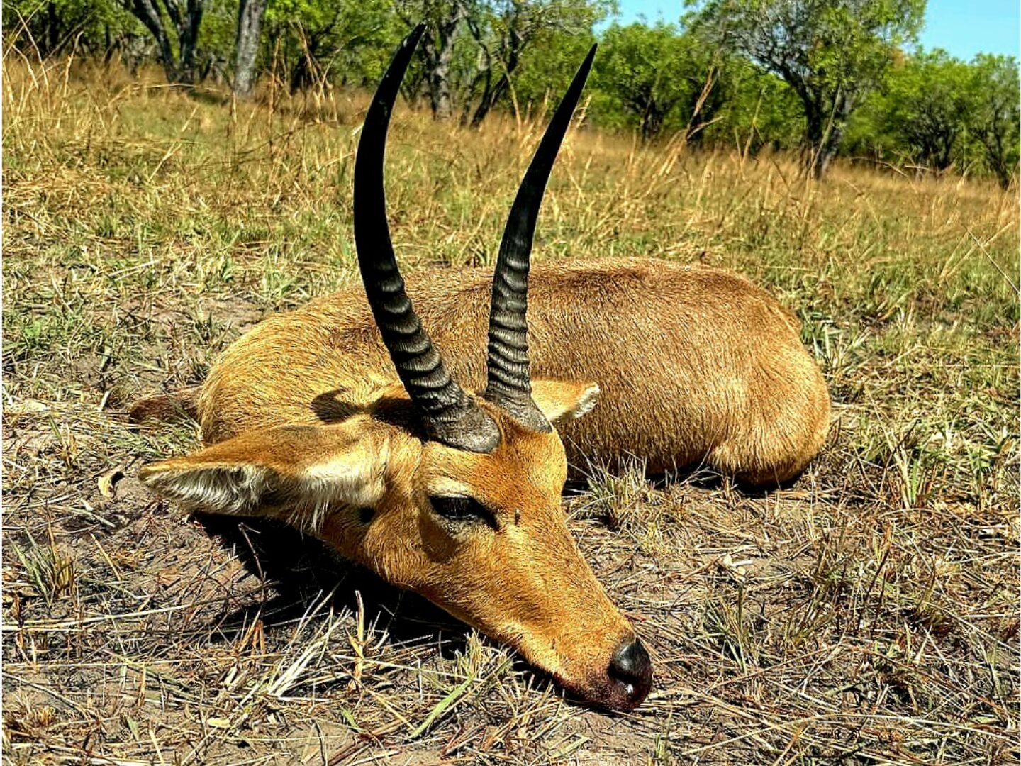 Untitled design (14)